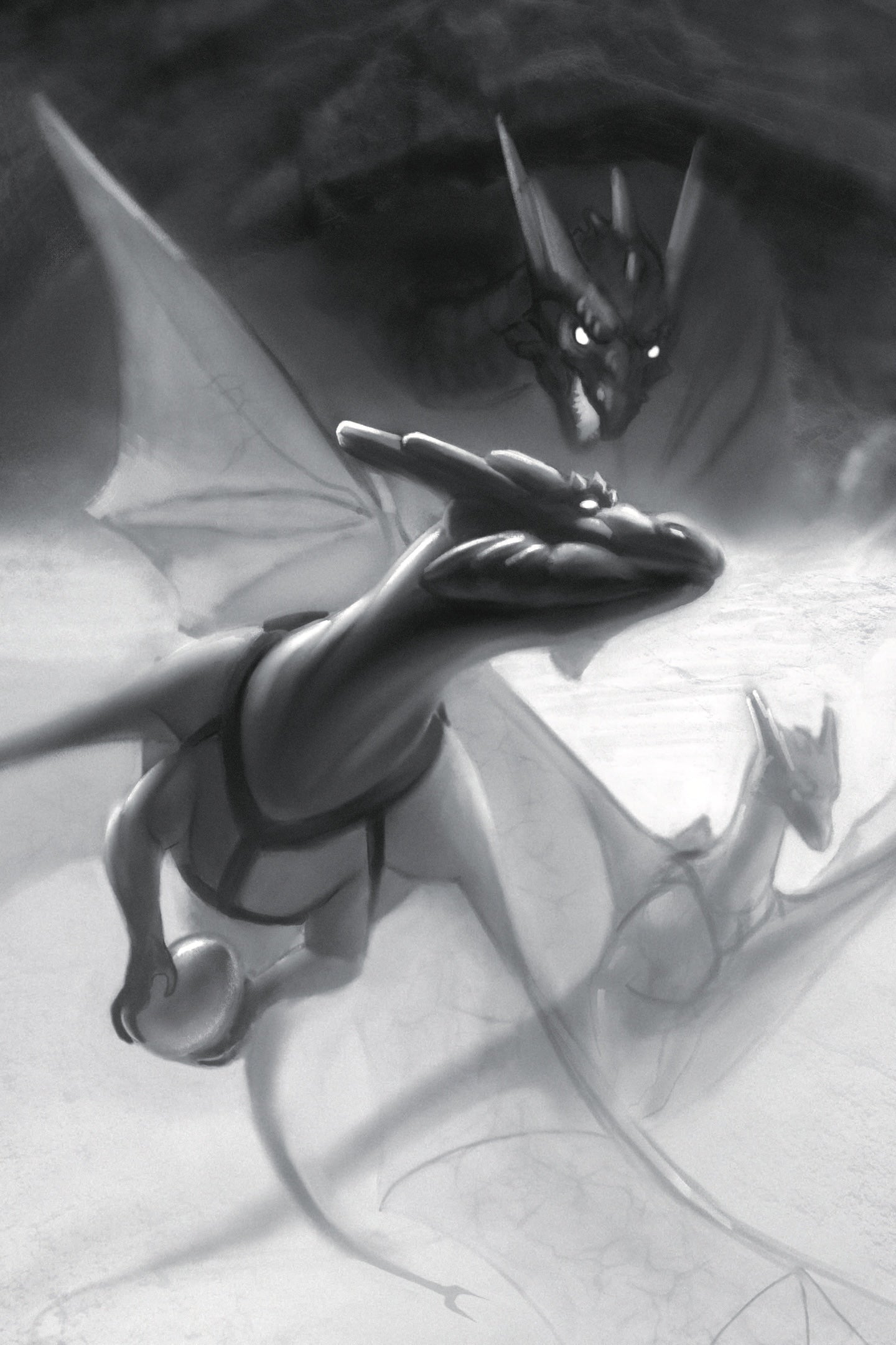 The White Dragon Limited Edition
