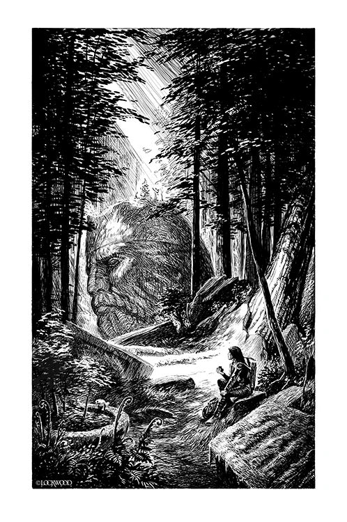 The Summer Dragon Limited Edition