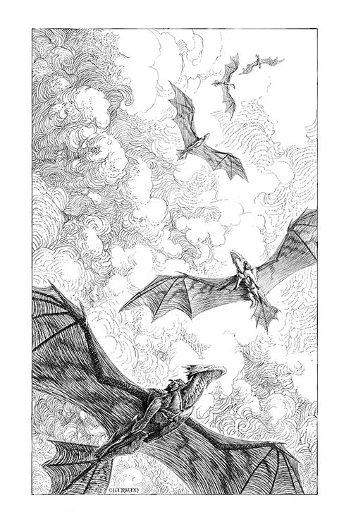 The Summer Dragon Limited Edition